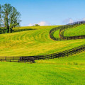 What Types of Insurance are Accepted by Healthcare Providers in Louisville, KY?