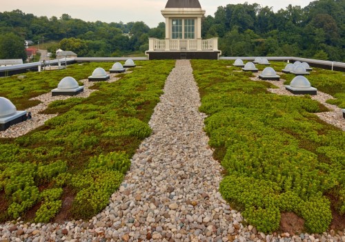 Alternative Medicine Options in Louisville, KY: An Expert's Guide
